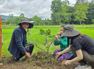สำนักงานสหกรณ์จังหวัดเชียงราย จัดกิจกรรมปลูกพืชสมุนไพร ... พารามิเตอร์รูปภาพ 22